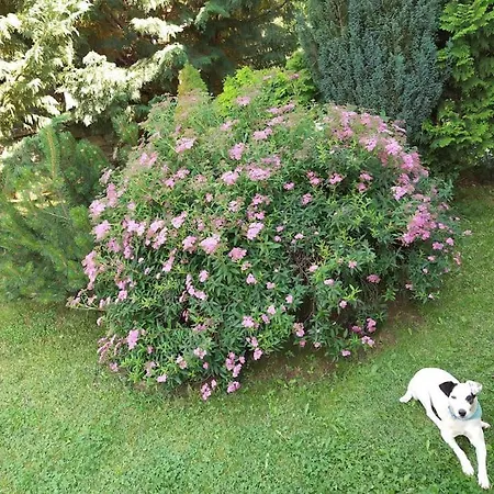 Ria ヴィラ